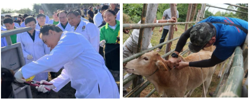National Animal Vaccination Day