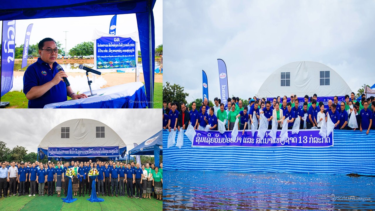 ພະແນກກະສິກໍຳ ແລະ ປ່າໄມ້ ນະຄອນຫຼວງວຽງຈັນ  ໄດ້ປ່ອຍປາຄືນສູ່ທຳມະຊາດ ໃນວັນປ່ອຍປາ ແລະ ສັດນ້ຳ ແຫ່ງຊາດ 13 ກໍລະກົດ 2025